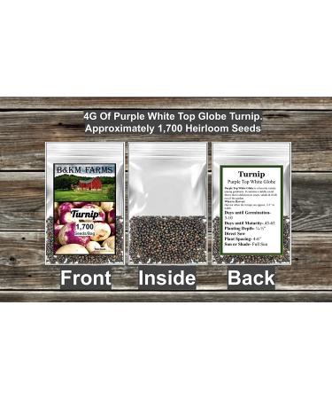 700 Purple Top White Turnip Seeds - Non-GMO Heirloom Variety for Summer, Fall & Winter Gardens - B&KM Farms 4g Packet - Buy Online on GoSupps.com