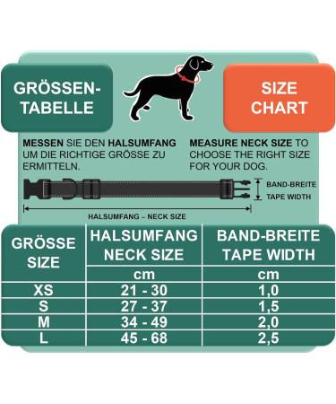 Dey Premium Reflective Dog Collar - Adjustable Nylon for Small & Large Dogs | Multiple Colors & Sizes | Ideal for Puppies & Cats - Green S (1.5x27-37 cm) - Buy Online on GoSupps.com