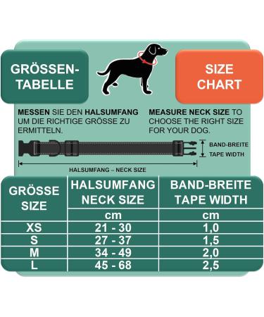 Premium Adjustable Dog Collar | Nylon | Small & Large Dogs | Multiple Colors & Sizes | Dey - Pink 34-49 cm - Buy Online on GoSupps.com