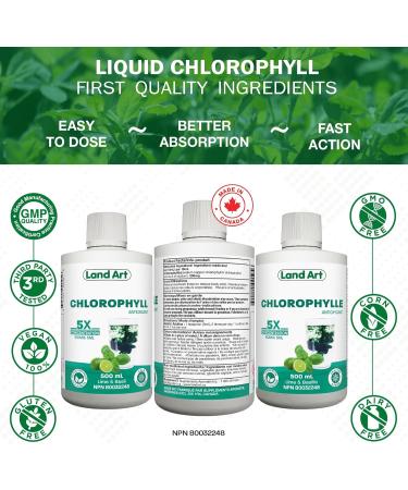 Liquid Chlorophyll Lime Basil 5X Concentrated 500ml Cold Extracted from Non-GMO Alfalfa - Detox - Alkaline - Natural Body Deodorant Antioxidant - Made in Canada - Buy Online on GoSupps.com