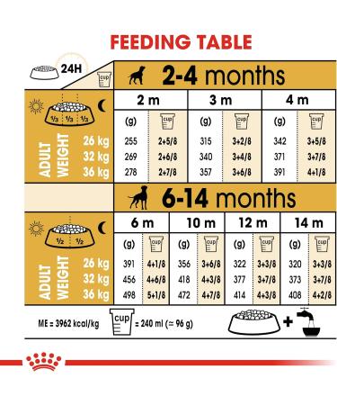 Royal Canin Boxer Junior 3.0 kg - Buy Online on GoSupps.com