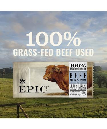 EPIC Beef Sea Salt + Pepper Protein Bar - Keto Friendly 12CT 1.3oz Bars - Buy Online on GoSupps.com