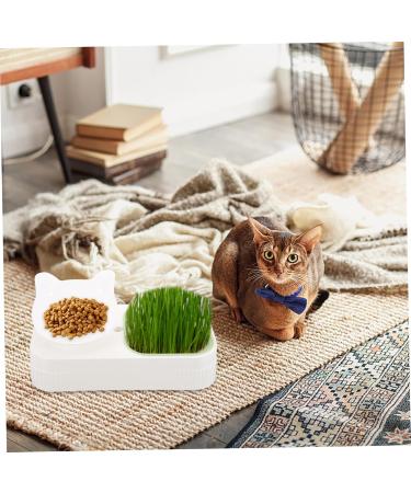 FOMIYES 3pcs set Reusable Suit Stencils Women Strap Grooming Diy Kit Pencil Styling Styles Full De for - Buy Online on GoSupps.com