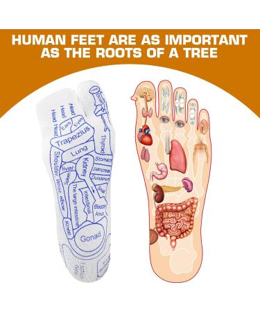 Buy Pinyenr Reflexology Socks - Acupressure Foot Massage Socks Small Size (35-39) for Ultimate Relaxation - Buy Online on GoSupps.com