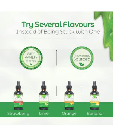CRAVESTEVIA - 4 Pack Bundle - Fresh Fruit Bundle Strawberry Lime Orange & Banana - All Natural Liquid Stevia Drops - Organic Stevia Sweetener Extracted from the Herb Stevia Rebaudiana - Buy Online on GoSupps.com