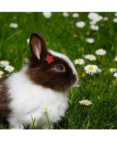 Hayaww 5 PCs Dog Hairpins & Clips - Premium Pet Accessories for Small Dogs & Cats (Red) - Stylish Hair Loops & Arches - Buy Online on GoSupps.com