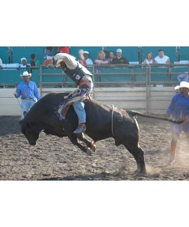 Georgia Premium Pine Rosin 1lb - Tree Resin for Beeswax Wraps & Hand Grip Enhancer for Sports & Rodeo - Buy Online on GoSupps.com