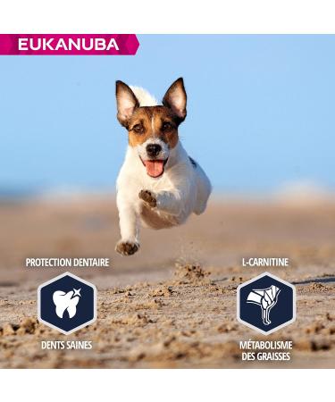 Eukanuba Dog Dry Food Jack Russell Chicken 2kg - Buy Online on GoSupps.com