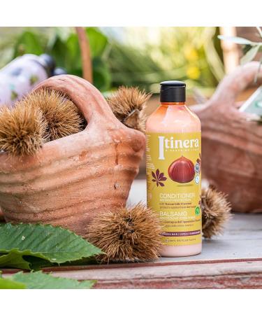  sarcia.eu ITINERA Cosmetic Kit Conditioner for Damaged Hair 2 x 370 ml - Buy Online on GoSupps.com