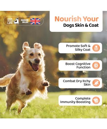 Scottish Salmon Oil for Dogs UK | Omega 3 6 & 9 Fish Oil Supplement | Natural Coat Joint Care | 1000ml - Buy Online on GoSupps.com