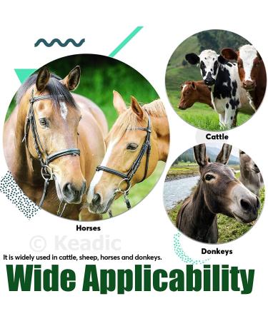 Nicoone Horse Farrier Hoof Trim Tool Kit | 3PC Professional Hoof Cutting Tongs & Horseshoe Care Accessories - Buy Online on GoSupps.com