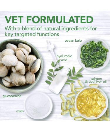 Vets Best Daily Soft Chews for Adult Dogs - 180 Chews | Premium Dog Supplements - International Shipping Available - Buy Online on GoSupps.com