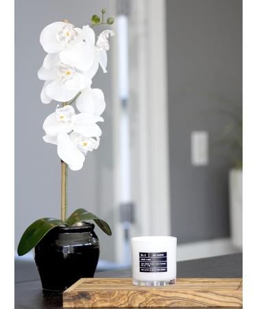 Lulu Candles Ocean Mist & Sea Salt - Luxury Scented Soy Candle | Hand Poured 9 Oz | Highly Scented & Long Lasting | Shop Internationally - Buy Online on GoSupps.com