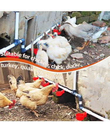 Ayakol Automatic Chicken Waterer System DIY Poultry Pipe Water Feeder Set Include 8 Chicken Water Cups Coop Automatic Clean Waterer Suitable for Chicken Duck Quail Pigeon Large - Buy Online on GoSupps.com