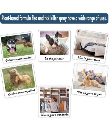 Natural Flea and Tick Spray for Dogs & Cats - Safe for Humans and Pets - Vet's Treatment - Kills Fleas, Ticks, and Insects - Indoor & Outdoor Use - No Powder - Supports Charity - Buy Online on GoSupps.com