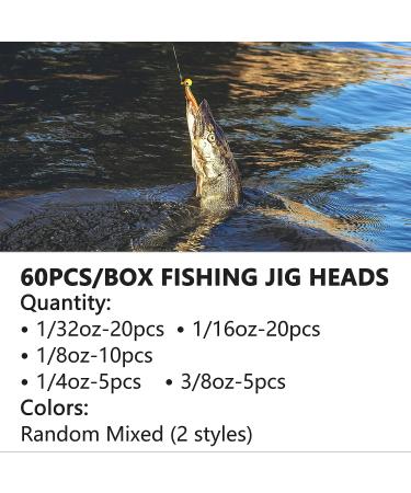 60pcs Fishing Jig Head Hooks Set - Assorted Round Head Hooks for Soft Worm Shrimp Lures - Freshwater & Saltwater Fishing Tackle Kit - Buy Online on GoSupps.com