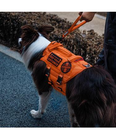 Oneigris Bolt Short Guide Dog Leash 30cm | Reflective Nylon Tiger Tooth Clip Soft Upholstery | Ideal for Medium & Large Dogs | Orange - Buy Online on GoSupps.com