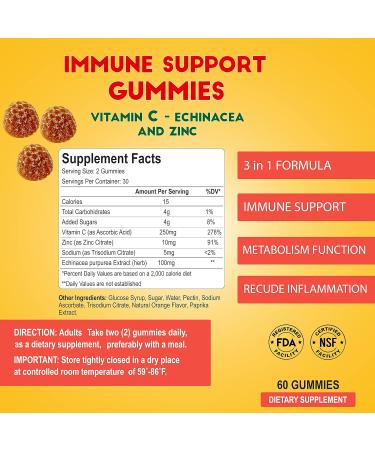 ALFA VITAMINS Immune Support Gummies with Vitamin C Plus Zinc & Echinacea - Daily Immune Support Booster for Adults - Orange Flavor - 60 Gummies - Buy Online on GoSupps.com