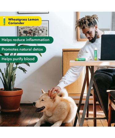 Akiva Superfoods Wheatgrass Daily Antioxidant Shot - Natural Detox 2oz Ready to Drink Servings (Pack of 15) - Buy Online on GoSupps.com