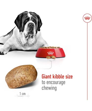 Royal Canin Dog Food Giant Adult 4kg - Buy Online on GoSupps.com
