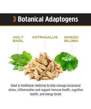 Om Mushrooms Mushroom Master Blend 3.17 oz - Organic Superfood Supplement - Buy Online on GoSupps.com