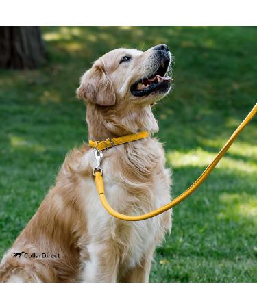 Collardirect Round Leather Dog Collar - Handmade Softly Padded Adjustable for Dogs & Cats (48-53 cm) - Available in Black Pink Red Purple Blue Yellow - Buy Online on GoSupps.com