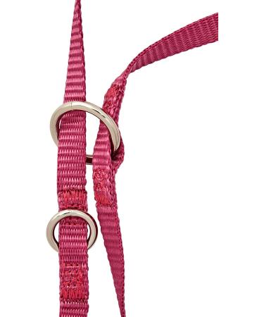 Nobby Classic Leash - Raspberry 200 cm Length 10 mm Width - Durable Dog Leash for International Shipping - Buy Online on GoSupps.com