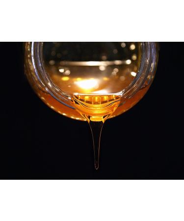 Wilkin & Sons Tiptree Pure Honey Catering Tub 1 x 3kg - Buy Online on GoSupps.com