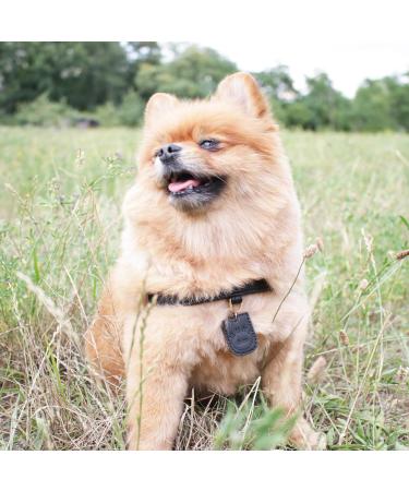 Muki & Co Double-Layered Dog Dishes - Adjustable & Comfortable for Extra Small to Medium Dogs - Safe Design in Black Size S (38-45 cm) - Buy Online on GoSupps.com