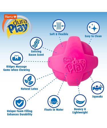 Hartz Dura Play Bacon Scented Squeak Ball Dog Toy - Small (3 Pack) - Buy Online on GoSupps.com