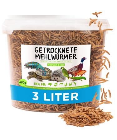 Flourworms dried 3 liters (460g) feed in the bucket hedgehog feed bird feed wild birds protein -rich snack for fish and reptiles 460 g (1 Pack) - Buy Online on GoSupps.com