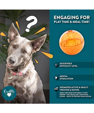 Interactive Treat Dispensing Dog Toy - Waffle & Sushi Design | Puzzle Feeder for Dogs & Cats - Buy Online on GoSupps.com