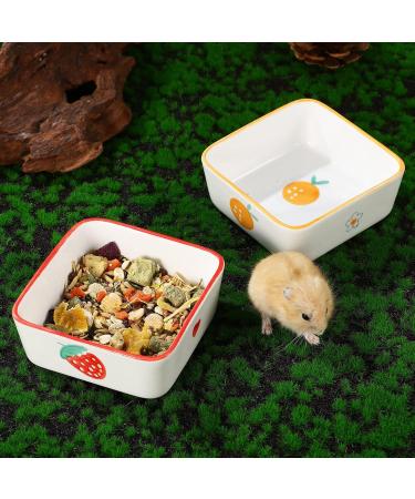 Ceramic Rat, Hamster, Rabbit, Guinea Pig Food Bowl Set - 2pcs, Cute Plates, Water Dish for Bunny, Gerbil, Ferret, Chinchilla - Buy Online on GoSupps.com