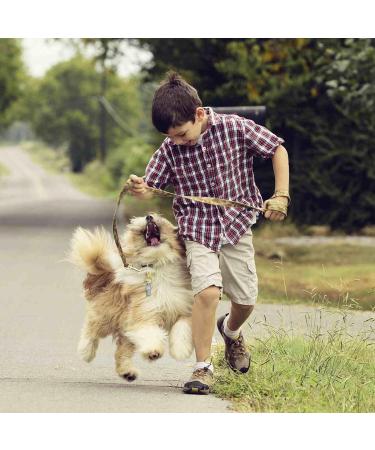 Welsberg 6-Piece Waterproof Address Pendant & Sleeve Set for Dogs & Cats | Ultra-Light Silver Trailer Caps - Buy Online on GoSupps.com