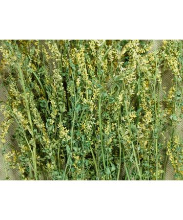 Meliot Sweet Clover Herb Tea | Melilotus Officinalis L | M lilot Officinal Herbe Tisane | Health Embassy (50g) - Buy Online on GoSupps.com