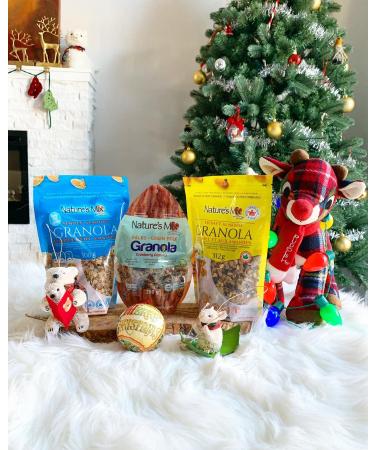 Nature's Mix Honey Almond Granola - Made with 100% Canadian Honey - Vegetarian and Kosher Certified Honey Almond Granola 312 Grams Dark Yellow Dark Yellow 312 g (Pack of 1)