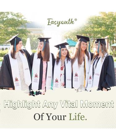 Easyouth Ombre Balayage Human Hair Extensions - Brown to Blonde Clip Ins 20 120g - Double Weft Clip Hair #4/24/4 - Buy Online on GoSupps.com