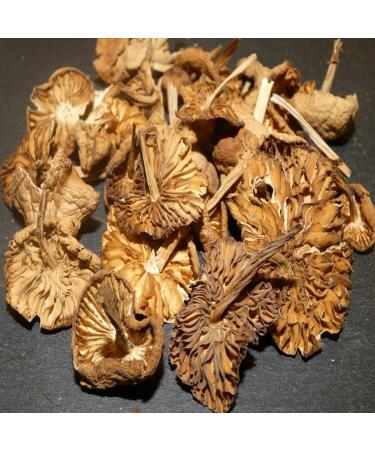  Bontout Mousserons - 400g jar - Buy Online on GoSupps.com