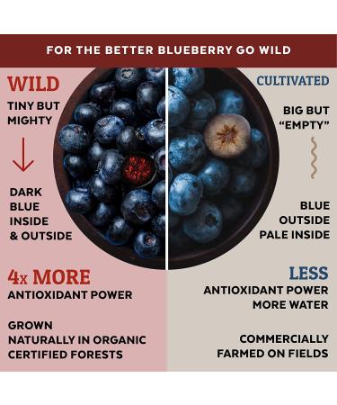 Numami Organic Wild Blueberry Powder | Antioxidant-Rich | Vitamin C | Nordic Forest Harvested | Ideal for Smoothies & Baking - Buy Online on GoSupps.com