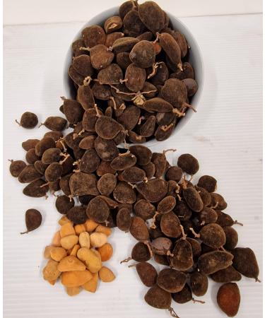 Black Velvet Tamarind Awin likki -Likki. Sun Dried (Dialium cochinchinense) 300gr 500gr 1kg (1) 1.0 Kilograms
