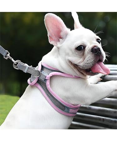 Buy Giapinst No-Pull Dog Harness for Small Dogs - Adjustable Breathable Mesh & Reflective Stripes - Medium Size (L Pink & Gray) International Shipping Available - Buy Online on GoSupps.com