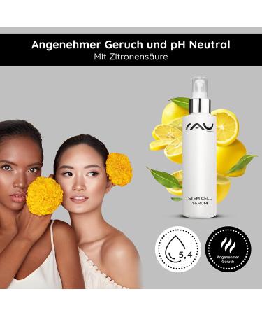 Chocolate Chips Pieces Ganache Decorations - Buy Online on GoSupps.com