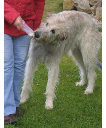 Buy Origin Outdoors Squeeze Tubes (200ml 2-Pack) - Ideal for Travel & Outdoor Activities | Fast International Shipping - Buy Online on GoSupps.com