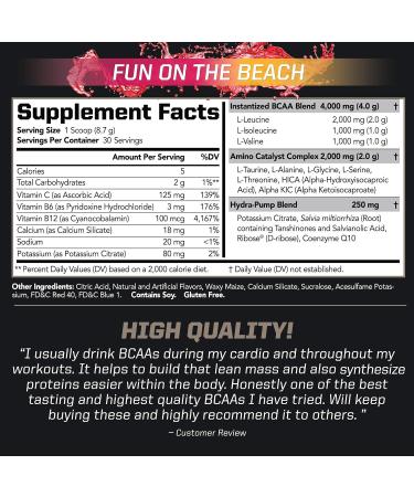 PMD Sports Arsenal X Inferno Superior Fast-Acting Liquid Gel Thermogenic Fat Burner (120 Liquid Gels) Sports BCAA for Recovery and Performance- Fun on The Beach (30 Servings) - Buy Online on GoSupps.com