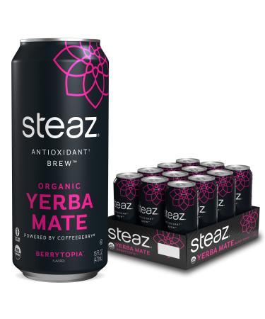 Steaz Organic Yerba Mate Tea with Coffeeberry Energy 16 oz Pack of 12 (Berrytopia)