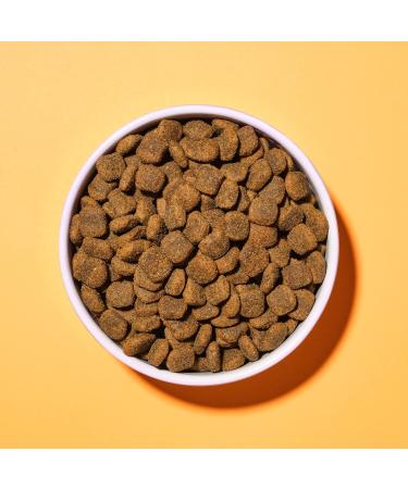 Pooch & Mutt - Complete Adult Dry Dog Food (Grain Free) Chicken & Superfood Blend 1.5kg Adult Dry Food 1.5kg - Buy Online on GoSupps.com