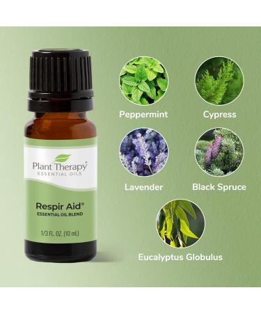Plant Therapy Respir Aid Essential Oil Blend 100 mL - 100% Pure Sinus & Airway Support | Natural Aromatherapy Congestion Relief - Buy Online on GoSupps.com