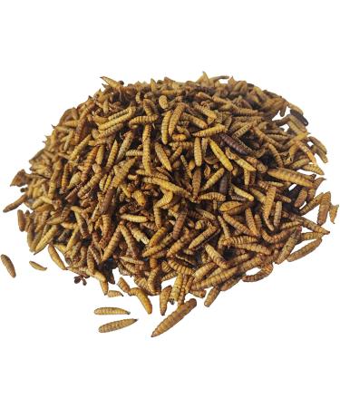 Premium 10kg Soldier Fly Larvae - Nutritious Bird & Fish Food | Eco-Friendly Alternative to Mealworms - Buy Online on GoSupps.com