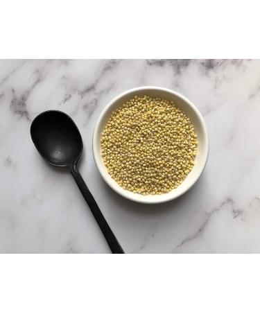 Anthony's Organic Hulled Millet 3 lb - Gluten Free - Raw & Grown in USA - Buy Online on GoSupps.com