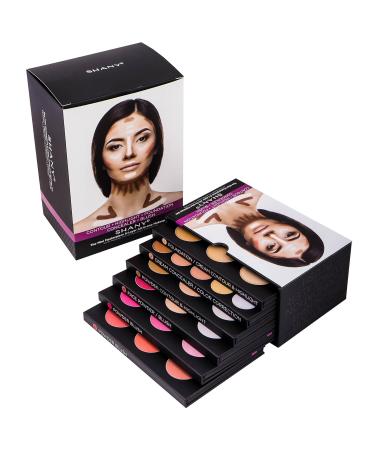 SHANY Mini Masterpiece Palette - 6 Layers Foundation Concealer Contour & Blush | International Shipping Available - Buy Online on GoSupps.com